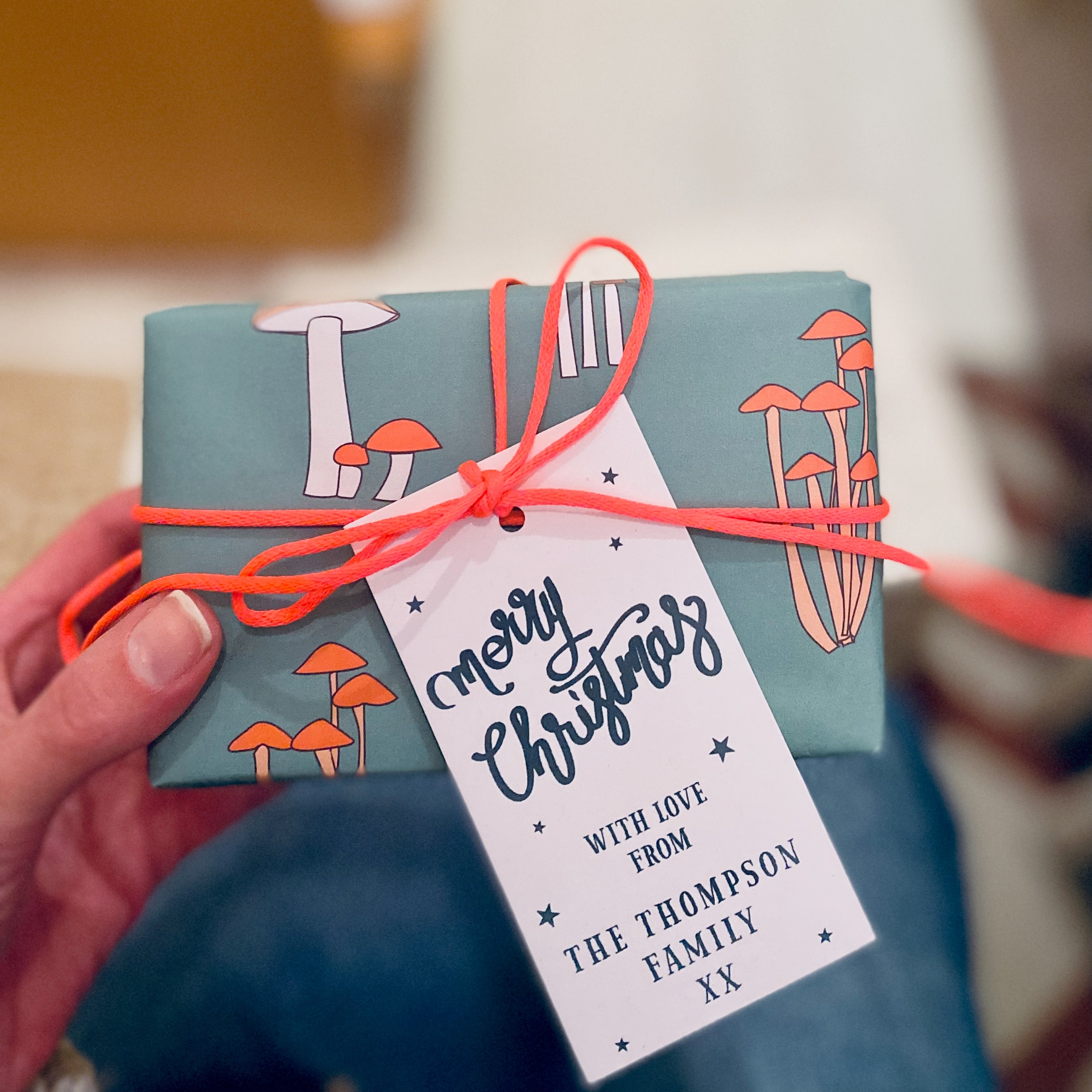 10 Personalised 'Merry Christmas' Christmas Gift Tags