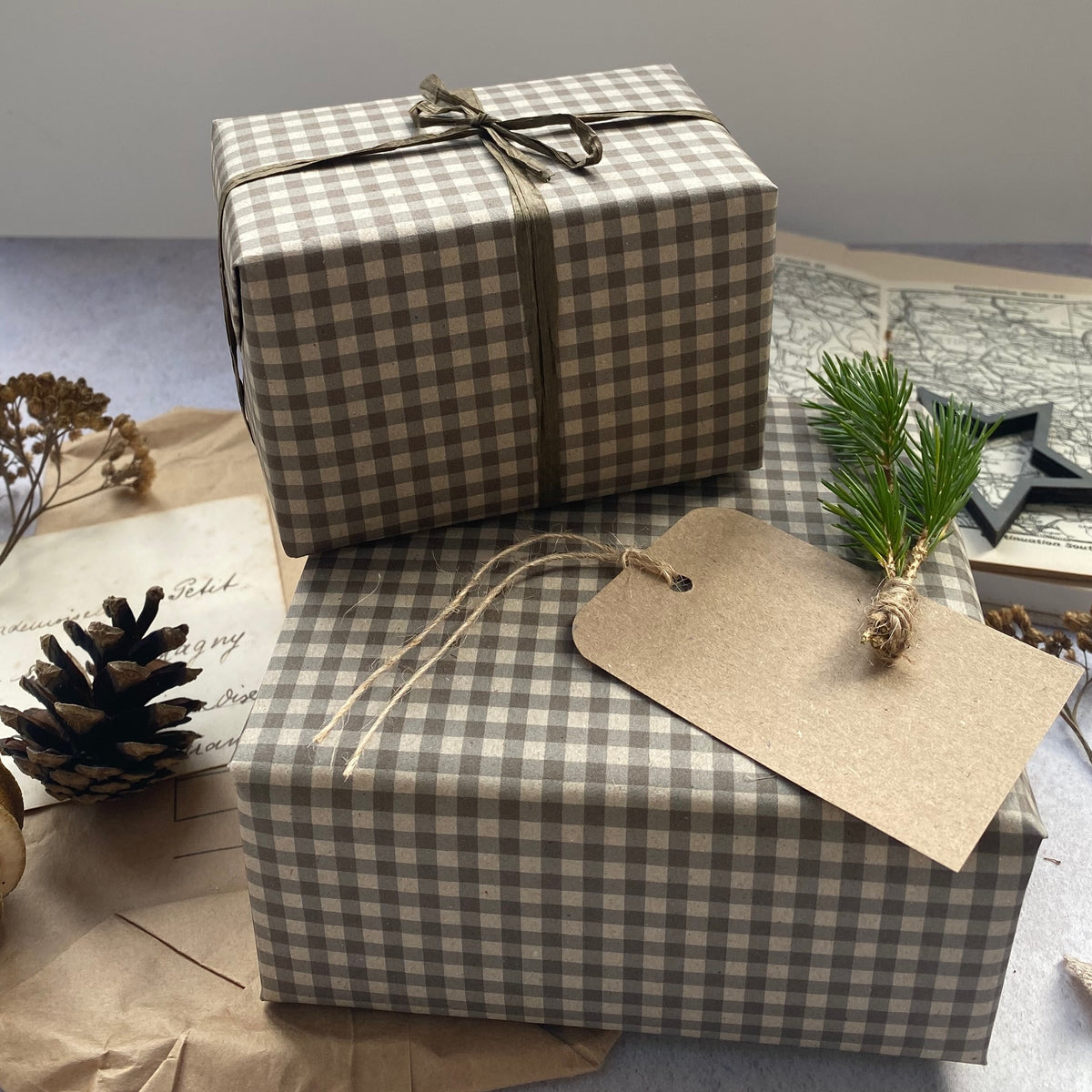 Paper Fibre Plain Gift Tag + twine x 5
