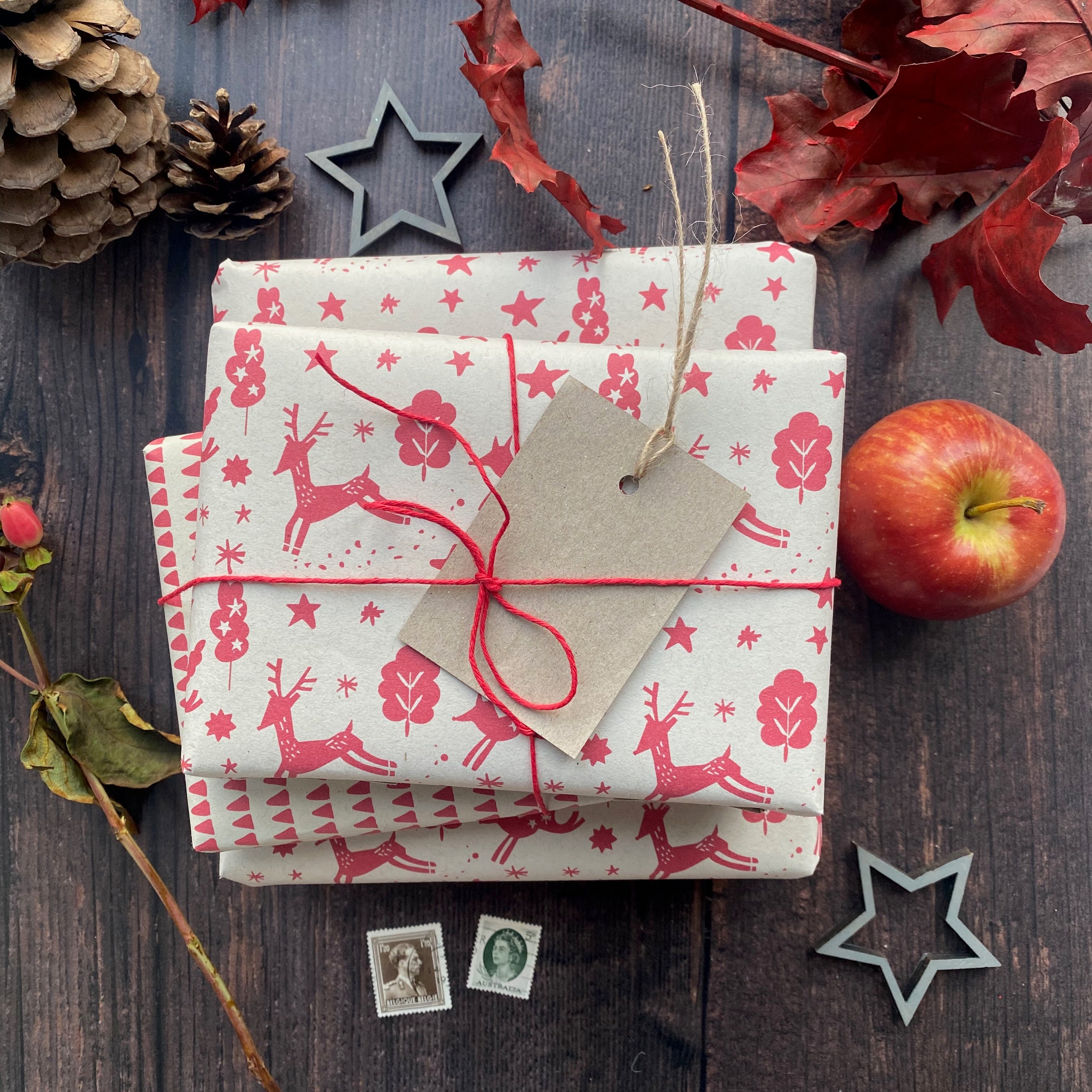 Christmas Scandi Style Paper Fibre Wrapping Paper Set
