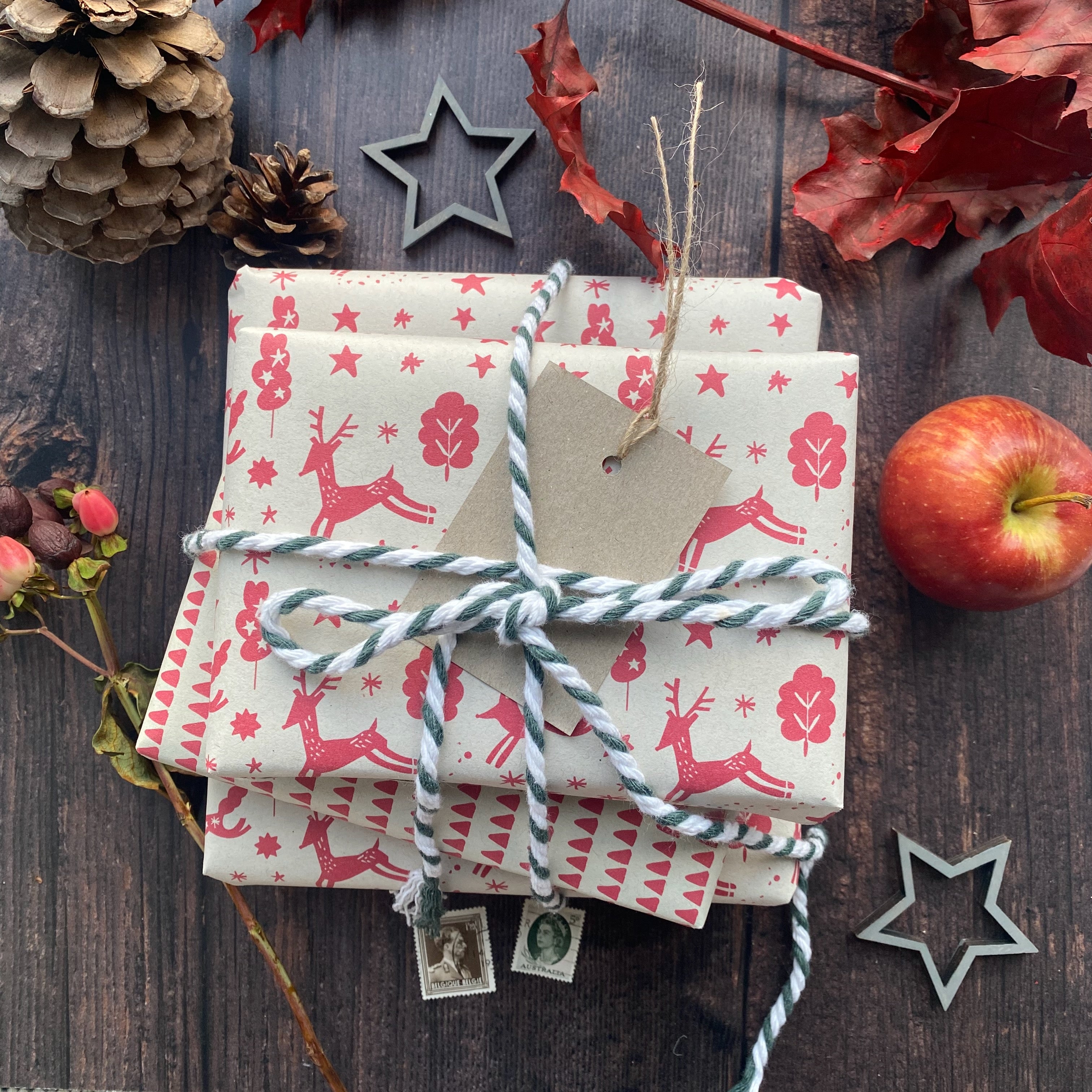 Christmas Scandi Style Paper Fibre Wrapping Paper Set